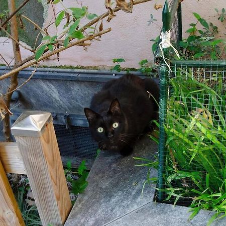 Un Insospettabile Angolo Verde In Citta Διαμέρισμα Μιλάνο Εξωτερικό φωτογραφία