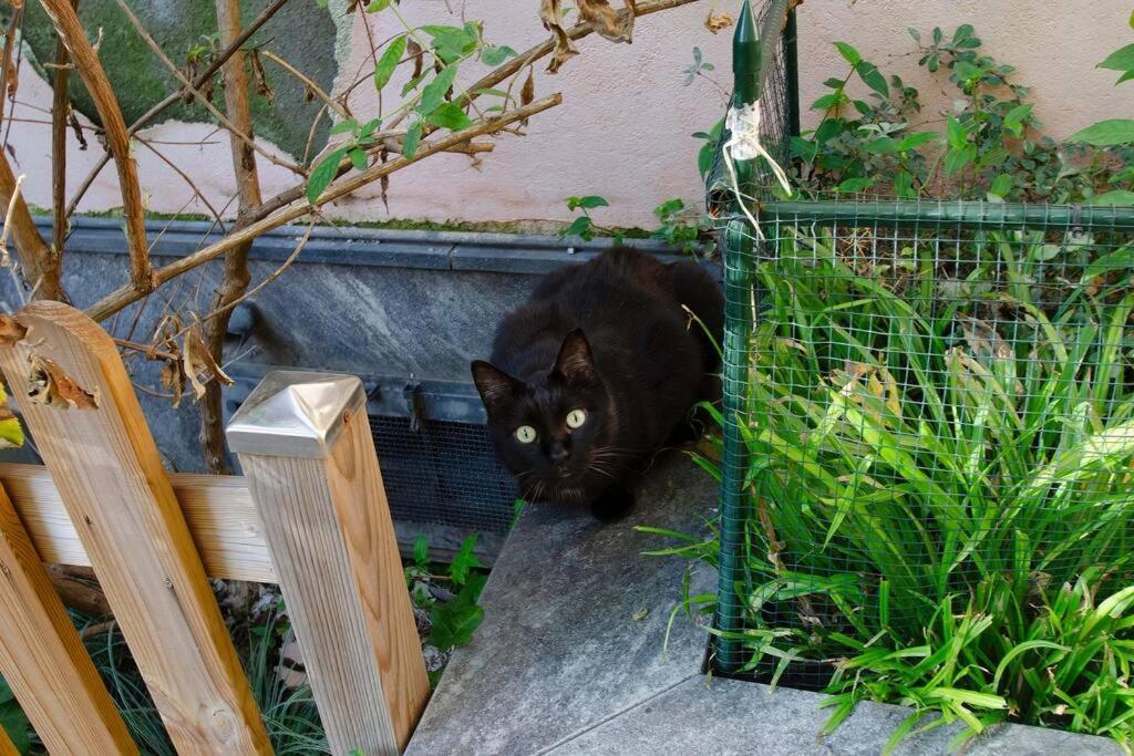 Un Insospettabile Angolo Verde In Citta Διαμέρισμα Μιλάνο Εξωτερικό φωτογραφία